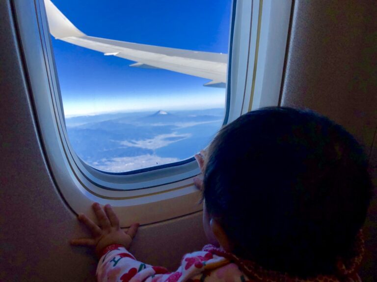 新年のご挨拶と今年の抱負