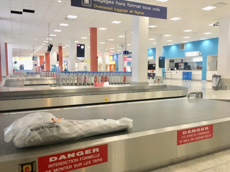 国際線フライトにベースを預けて飛んでみた！当日の様子や料金を解説します【ANA国際線／スイス航空の場合】