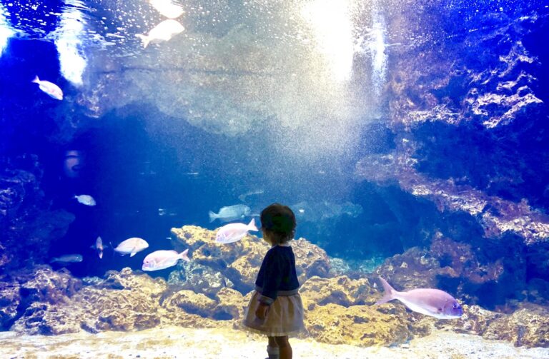 娘の瞳から、世界はどんなふうに見えているんだろう。どんな世界を、僕は見せることができているだろう