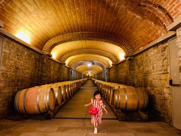 イタリア・フェラガモ運営のワイナリー「IL BORRO（イルボッロ）」へ行ってきました。