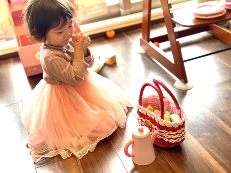 テレワーク18日目：玩具の食材とピクニックバック