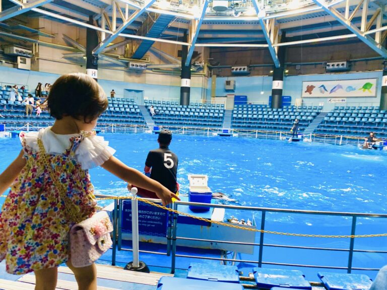 都内でイルカショーが観られる！マクセルアクアパーク品川に娘と出かけてきました。