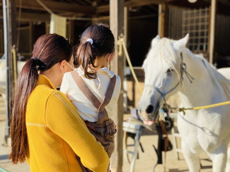 八ヶ岳ロングライディングを予約！子供と乗馬に行ってきました
