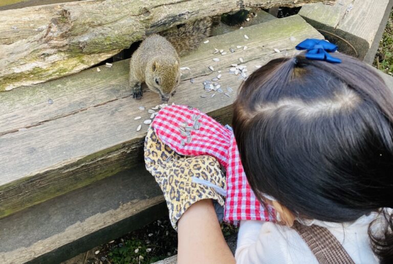 リスが放し飼い！東京にある町田リス園に行ってきました。