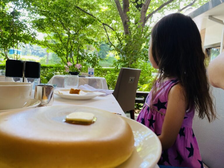 5歳娘の英語教育〜我が家の取り組みと夏休み中の習い事について｜DAY8