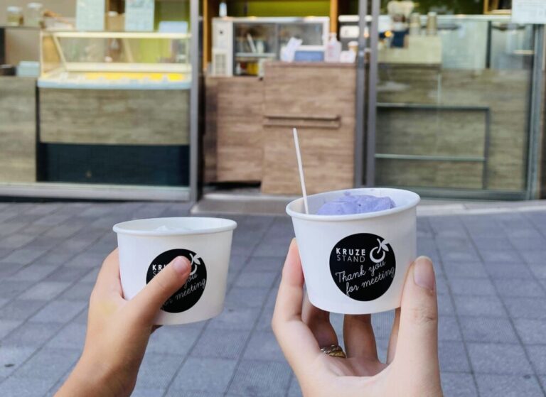 旅行後の片付けと家の整理。妻と娘はディカペラの渋谷公演へ｜DAY30