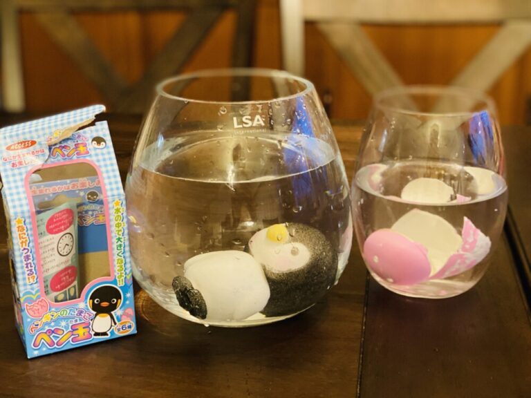 京都水族館で買ったペンギンの卵が孵った日｜DAY35