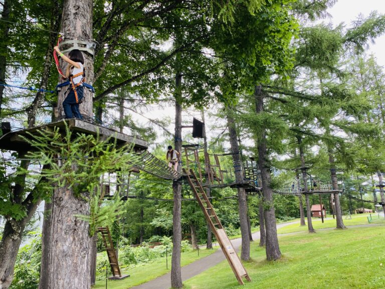 ニセコで120cm以下の子どもが遊べるツリートレッキング（アスレチック）は？【自然体験グランドピュア感想レビュー】