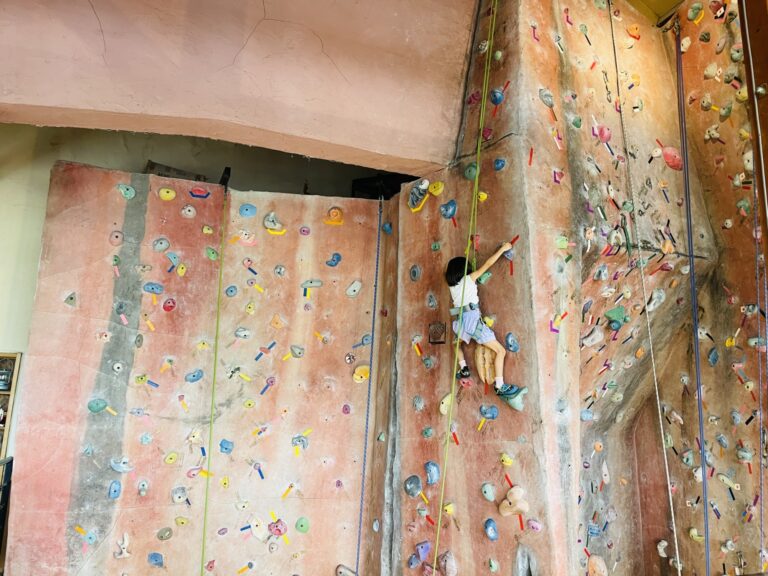 【体験レビュー】ニセコのNACクライミングってどう？6歳娘がロープクライミングに挑戦