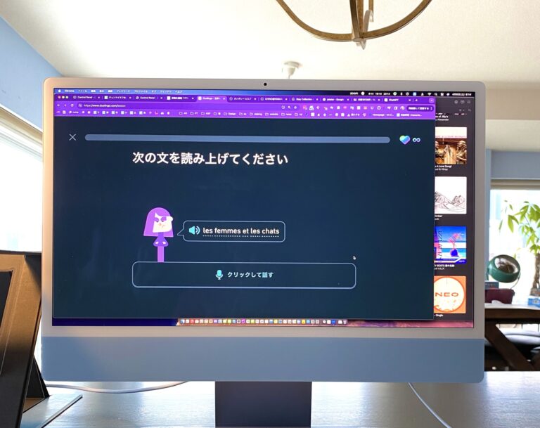 Duolingoでフランス語学習を始めて3週間。仏検5級の合格ラインを超えるまでにやったこと